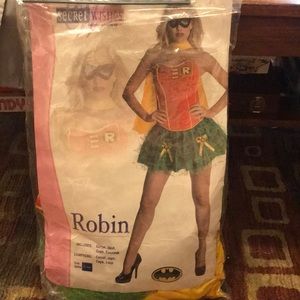 Halloween costume robin
